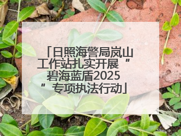 日照海警局岚山工作站扎实开展“碧海蓝盾2025”专项执法行动