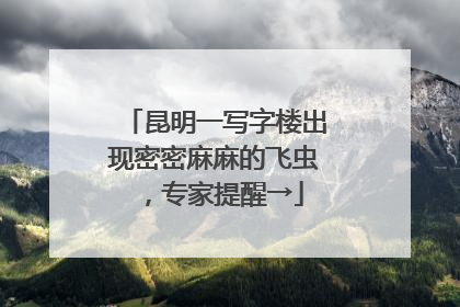 昆明一写字楼出现密密麻麻的飞虫，专家提醒→