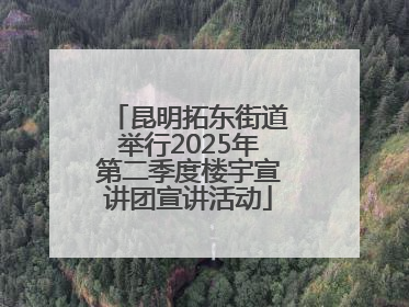 昆明拓东街道举行2025年第二季度楼宇宣讲团宣讲活动
