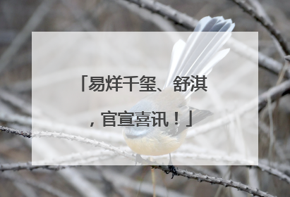 易烊千玺、舒淇，官宣喜讯！