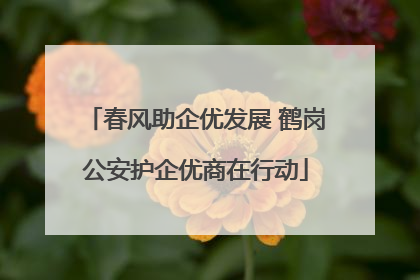 春风助企优发展 鹤岗公安护企优商在行动