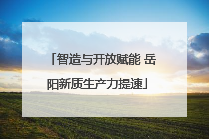 智造与开放赋能 岳阳新质生产力提速