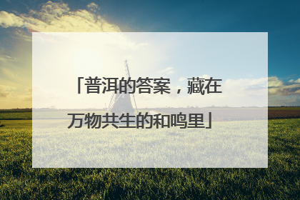 普洱的答案，藏在万物共生的和鸣里