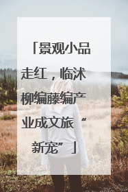 景观小品走红，临沭柳编藤编产业成文旅“新宠”