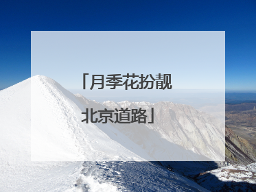 月季花扮靓北京道路