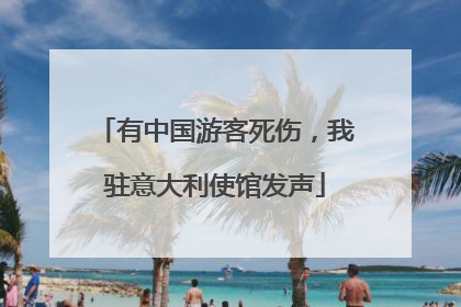 有中国游客死伤，我驻意大利使馆发声