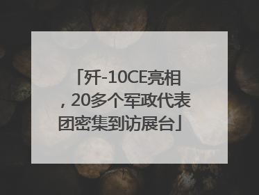歼-10CE亮相，20多个军政代表团密集到访展台