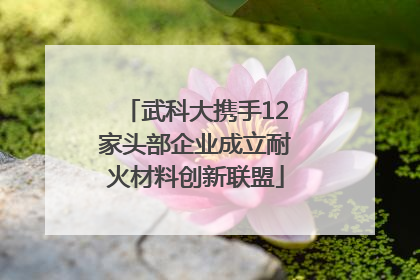 武科大携手12家头部企业成立耐火材料创新联盟