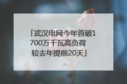 武汉电网今年首破1700万千瓦高负荷 较去年提前20天
