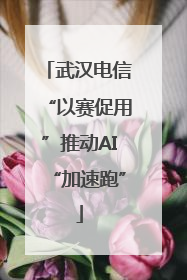 武汉电信“以赛促用”推动AI“加速跑”