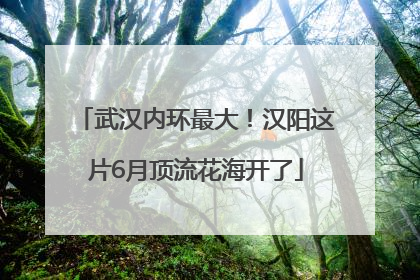 武汉内环最大！汉阳这片6月顶流花海开了