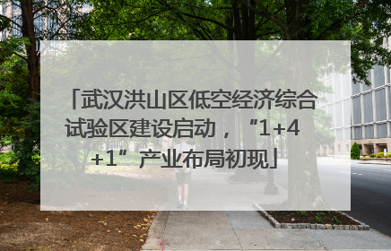武汉洪山区低空经济综合试验区建设启动，“1+4+1”产业布局初现