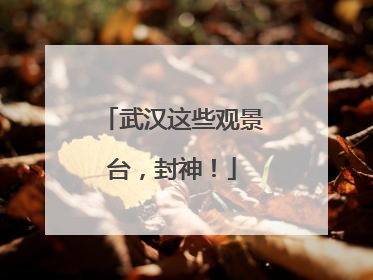 武汉这些观景台，封神！