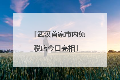 武汉首家市内免税店今日亮相