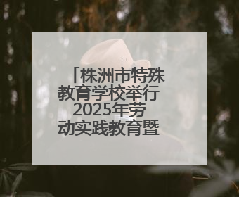 株洲市特殊教育学校举行2025年劳动实践教育暨杨梅节活动