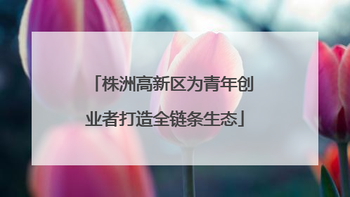 株洲高新区为青年创业者打造全链条生态