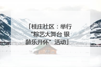 桂庄社区：举行“粽艺大舞台 银龄乐开怀”活动