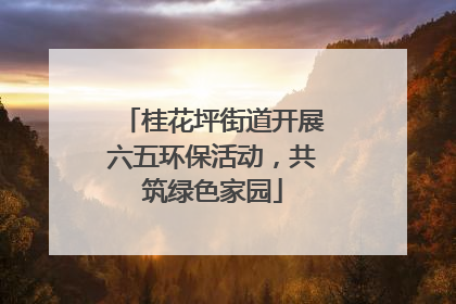 桂花坪街道开展六五环保活动，共筑绿色家园