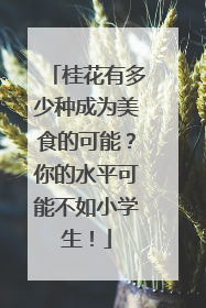 桂花有多少种成为美食的可能？你的水平可能不如小学生！