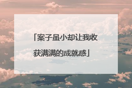 案子虽小却让我收获满满的成就感
