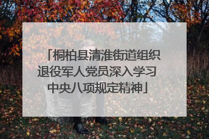 桐柏县清淮街道组织退役军人党员深入学习中央八项规定精神