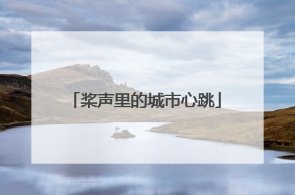桨声里的城市心跳