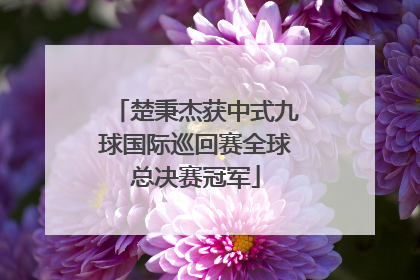楚秉杰获中式九球国际巡回赛全球总决赛冠军