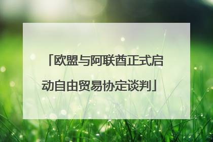 欧盟与阿联酋正式启动自由贸易协定谈判