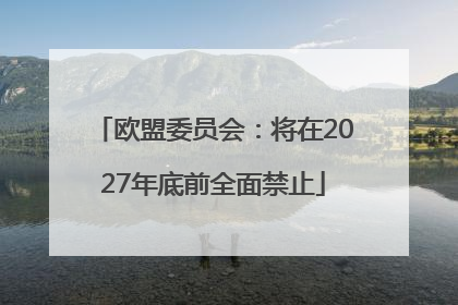 欧盟委员会：将在2027年底前全面禁止