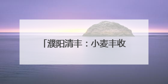 濮阳清丰：小麦丰收季 “一条龙”作业开启农业高效新篇章