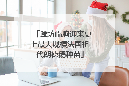潍坊临朐迎来史上最大规模法国祖代朗德鹅种苗