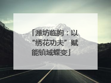 潍坊临朐：以“绣花功夫”赋能镇域蝶变