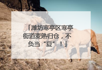 潍坊寒亭区寒亭街道麦熟归仓，不负当“夏”！