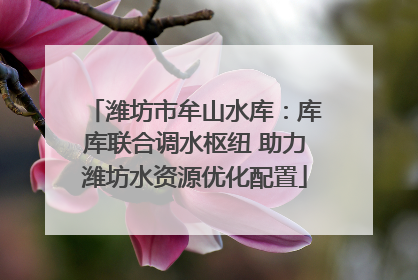 潍坊市牟山水库：库库联合调水枢纽 助力潍坊水资源优化配置