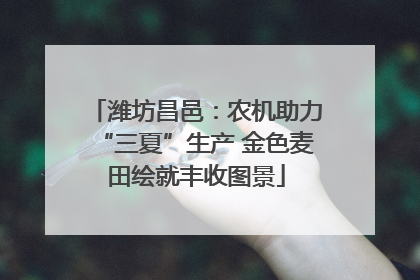 潍坊昌邑：农机助力“三夏”生产 金色麦田绘就丰收图景