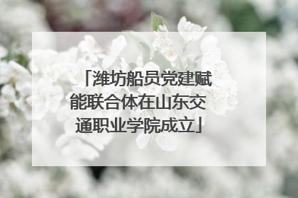 潍坊船员党建赋能联合体在山东交通职业学院成立