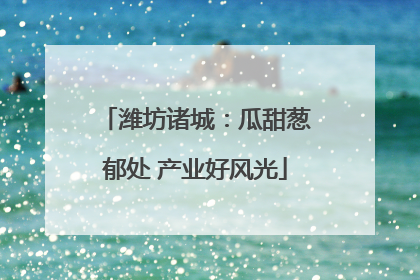 潍坊诸城：瓜甜葱郁处 产业好风光