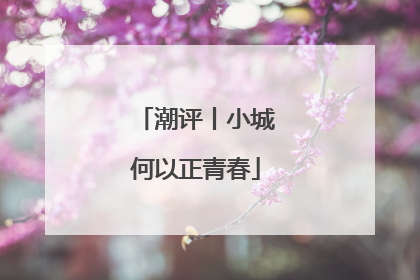 潮评丨小城何以正青春