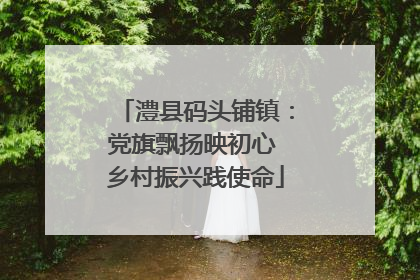 澧县码头铺镇：党旗飘扬映初心 乡村振兴践使命