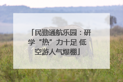 民勤通航乐园：研学“热”力十足 低空游人气爆棚