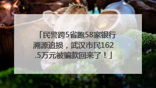 民警跨5省跑58家银行溯源追损，武汉市民162.5万元被骗款回来了！