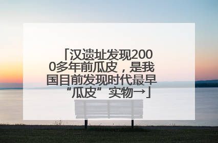 汉遗址发现2000多年前瓜皮，是我国目前发现时代最早“瓜皮”实物→