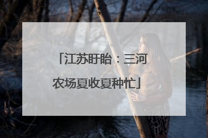 江苏盱眙：三河农场夏收夏种忙