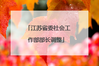 江苏省委社会工作部部长调整