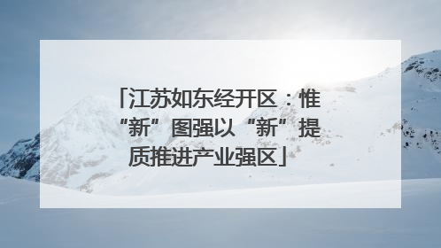 江苏如东经开区：惟“新”图强以“新”提质推进产业强区