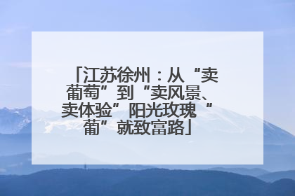 江苏徐州：从“卖葡萄”到“卖风景、卖体验”阳光玫瑰“葡”就致富路