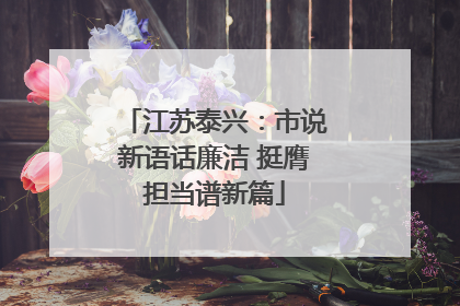 江苏泰兴：市说新语话廉洁 挺膺担当谱新篇