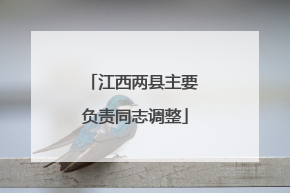 江西两县主要负责同志调整