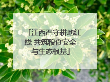 江西严守耕地红线 共筑粮食安全与生态根基
