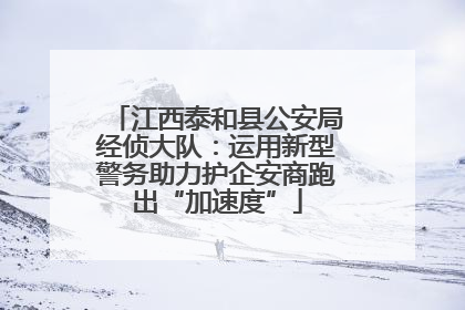 江西泰和县公安局经侦大队：运用新型警务助力护企安商跑出“加速度”